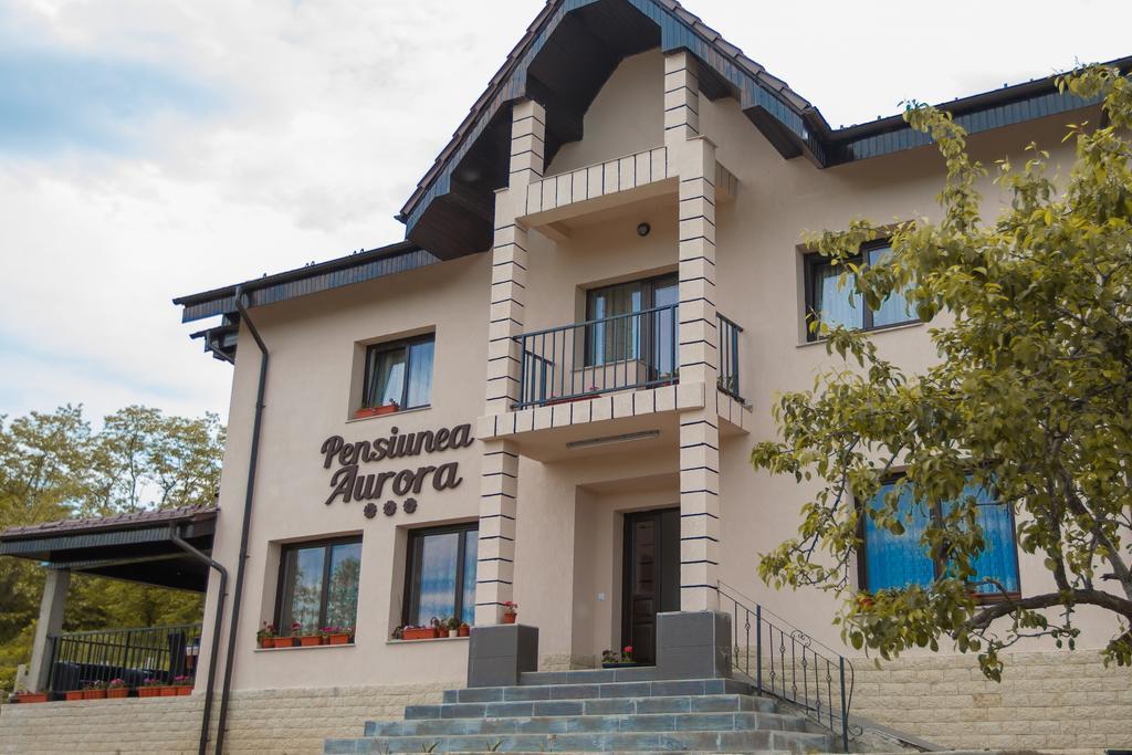 Pensiunea Aurora Otel Racova Dış mekan fotoğraf
