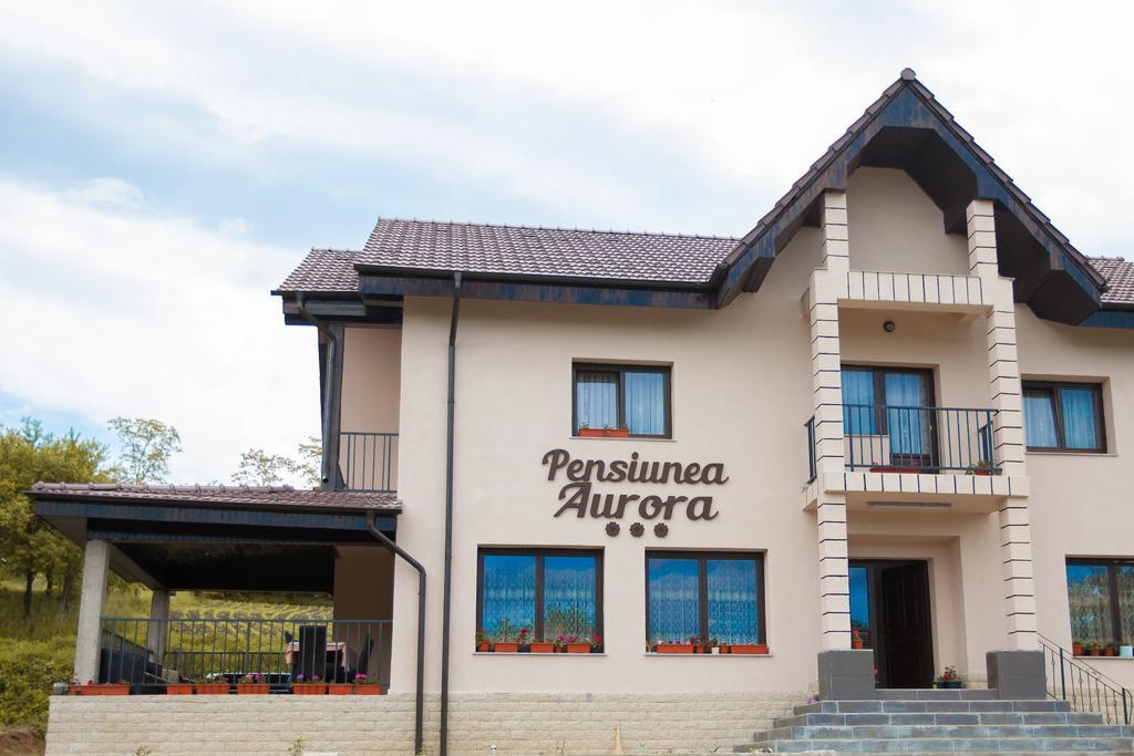 Pensiunea Aurora Otel Racova Dış mekan fotoğraf